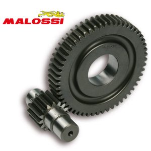 Secundaire Overbrenging Malossi 15/55 | Piaggio 4T 12"