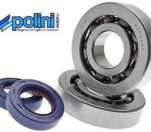 Lagerset Polini | Piaggio 2T