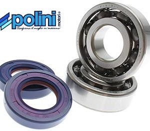 Lagerset Polini | Derbi EBS / D50B0